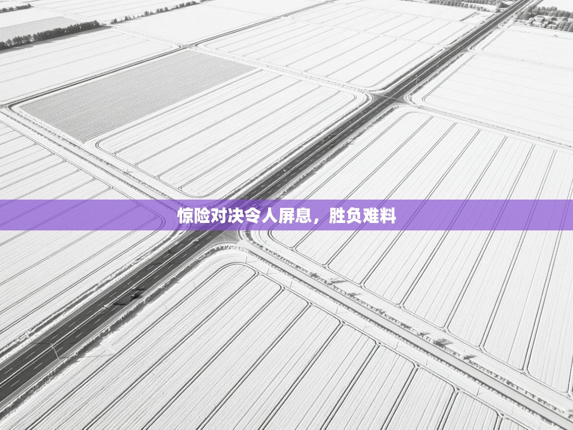 惊险对决令人屏息，胜负难料  第2张