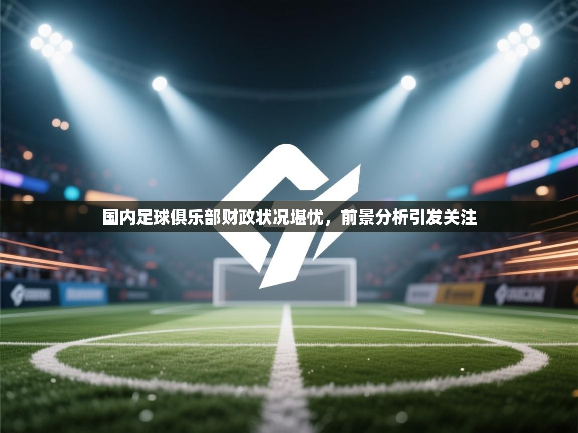 国内足球俱乐部财政状况堪忧，前景分析引发关注  第1张